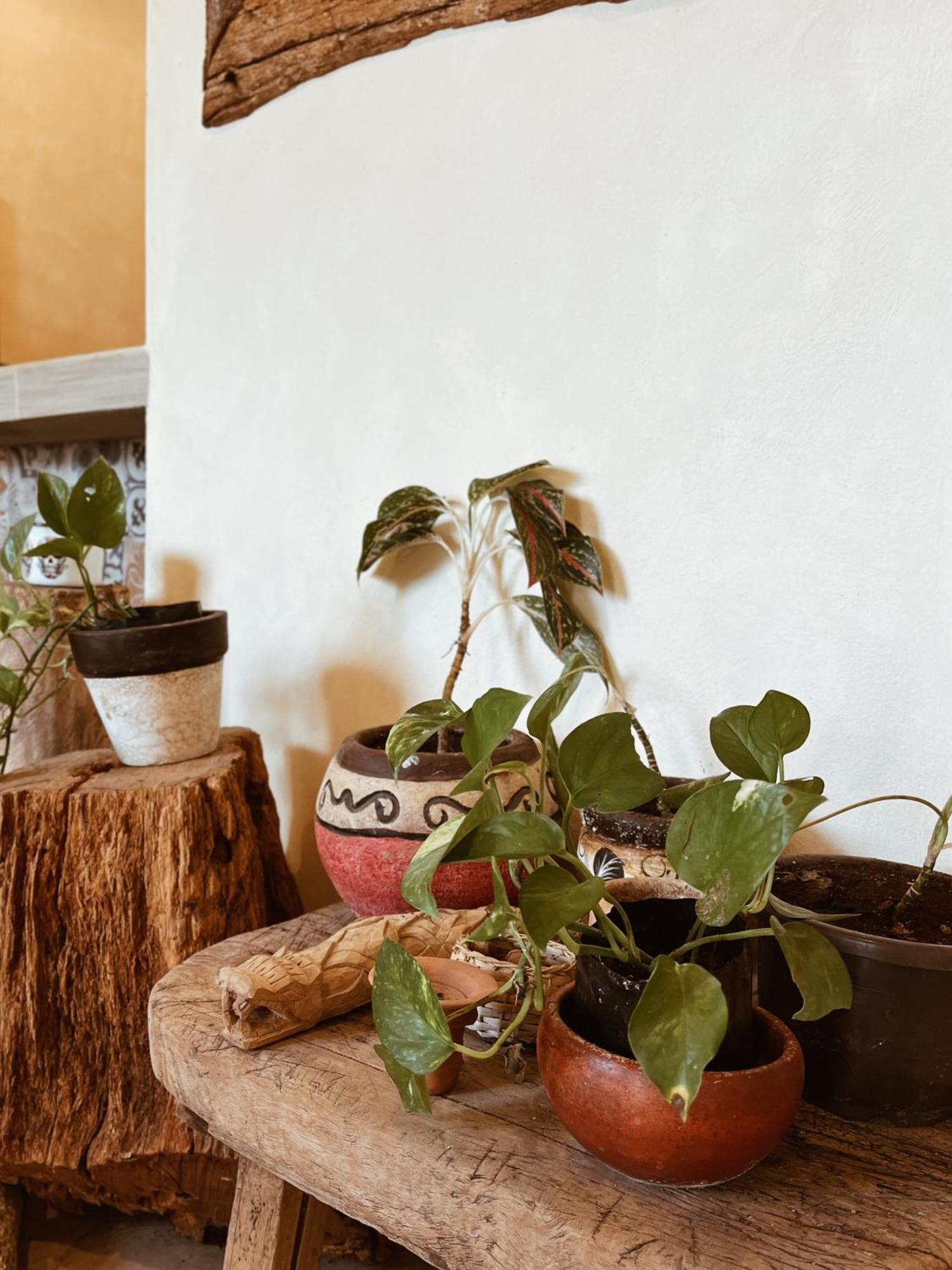 Sisal Loft Living Apartment วัลลาโดลิด ภายนอก รูปภาพ
